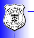 Bailiff Badge
